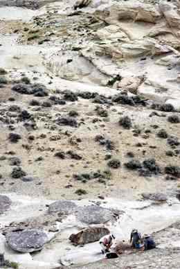 Jason Schein (left), Joseph Camburn (center), and Christopher Smith (right) search for teeth and bone fragments in Elk Ridge, Wyoming. Photo by Brian Switek.