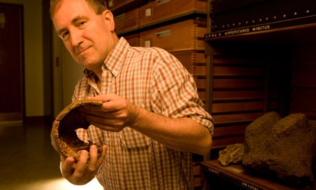 [swanscombe-skull-006[5].jpg]