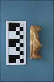 A figure of the hippo goddess Taweret. It was discovered near the harbour of Thmuis. Photo ourtesy Professor Robert Littman.