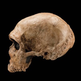 [out-with-a-bang_1[5].jpg]