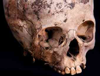 Short life (image: Sam Scholes)