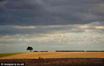Towton battlefield: The removal of many of the hedgerows in the latter part of the 20th century restored the landscape's medieval character.