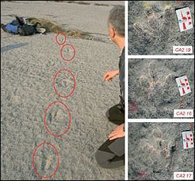 [LAS-Dinosaur3[5].jpg]