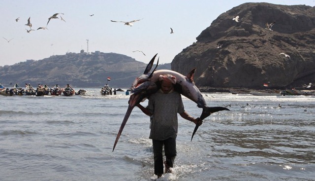 [image-157707-galleryV9-gfxr[5].jpg]