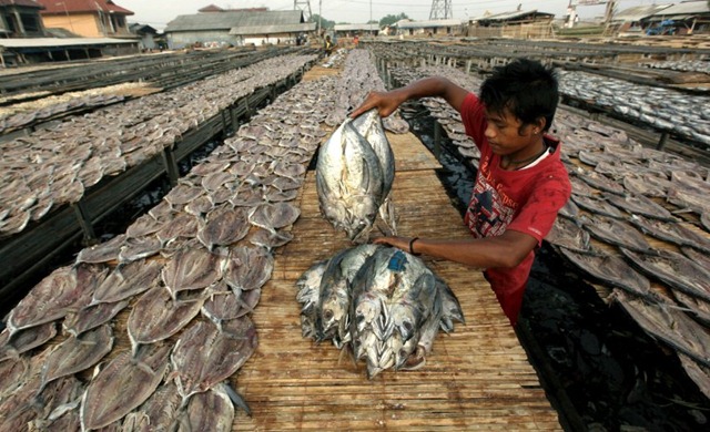 [image-157714-galleryV9-iisg[5].jpg]