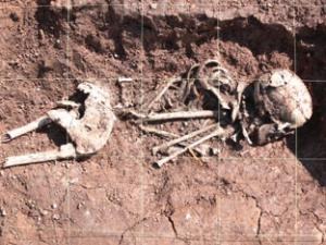 [18Ashperton03.jpg.display5.jpg]