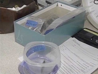 The pieces belong to an unidentified shipwreck about 15 feet below the surface but are too difficult to identify by plain eye. (Photo: WBOC)