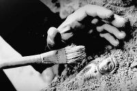 [image5738_b[6].jpg]