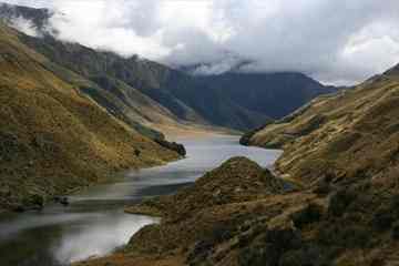 Sudden catastrophic burning transformed the NZ landscape 800 years ago.(Source: Janet Wilmhurst/researcher)