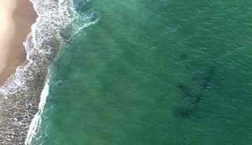 A shipwreck rests just off North Beach Island in Chatham.