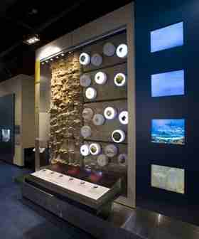 An exhibit in the Virginia Museum of Natural History shows fossils several millions of years old and found beneath the surface of the earth. 