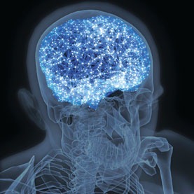 [100trillionconnections_15.jpg]