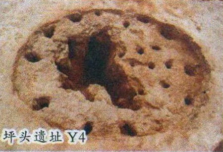 [20101220173518871.5.jpg]