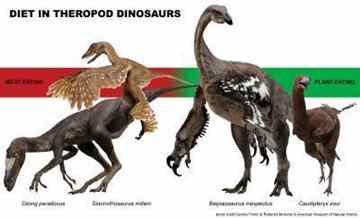 New research by Field Museum scientists finds widespread herbivory in bird-like theropod dinosaurs. Four of the 90-theropod species involved in the study shown with dietary interpretations. All four species derive from the famous feathered dinosaur beds of the Early Cretaceous Yixian Formation, P. R. China, leading the scientists to speculate that dietary diversity may have contributed to the large numbers of contemporaneous theropods in ecosystems like those of the Yixian.