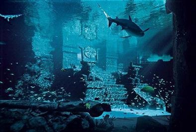 [ancientruinsbahamas_f7.jpg]