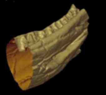 A cross-section of the monster's jawbone from the CT scanner