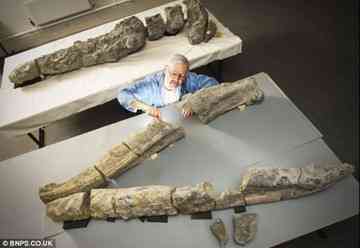 A giant CAT scanner is being used t Southampton University to scan this huge pleiosaur fossil found on the Dorset coast.