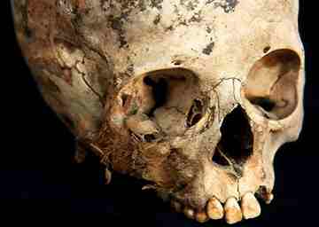The skull of a child sacrificed at around 9 years of age.