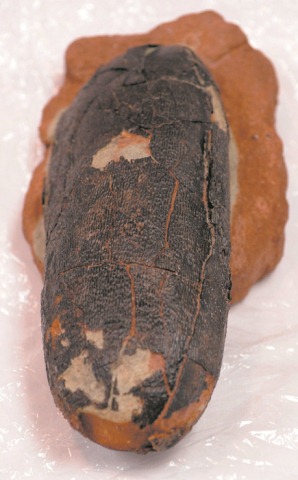 [4d1824f68be96.image5.jpg]