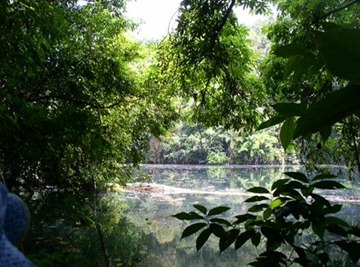 A view of one of the pools at Cara Blanca.