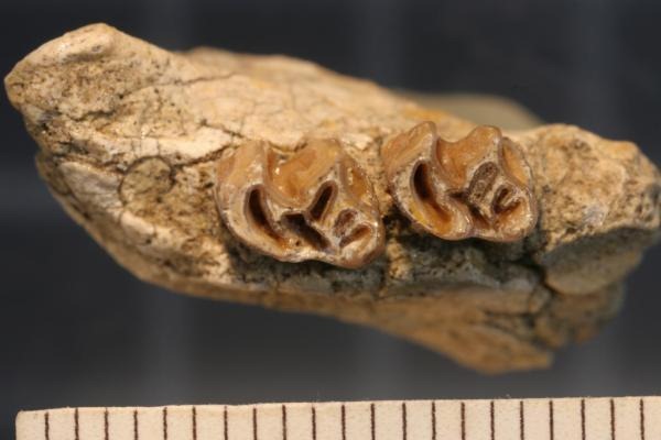 [101221101920large5.jpg]