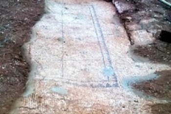 [Syria_Mosaic_Painting_Unearthed_in[5].jpg]