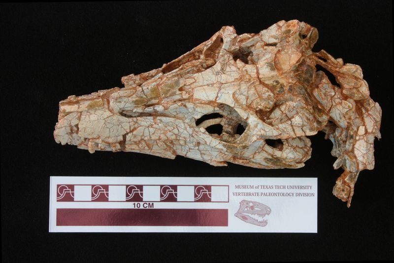 [6a00d8341bf67c53ef0147e18a6e93970b-8.jpg]