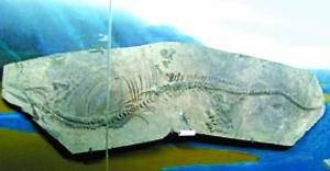 [001372a9ae050e98dcbb01[4].jpg]