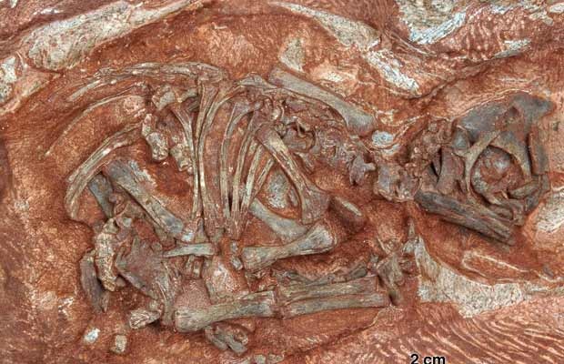 [3824628.bin[4].jpg]