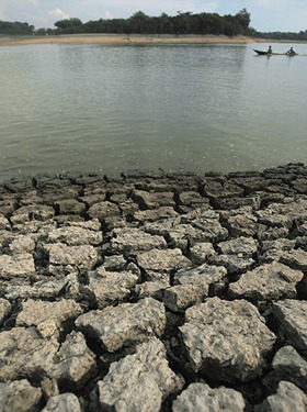 Amazon drought