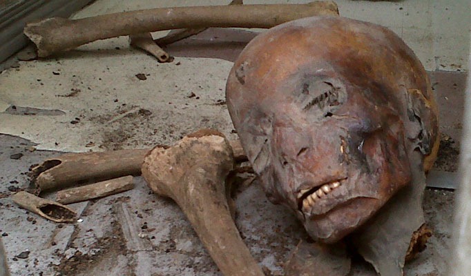 [mummy_682_1240878a[4].jpg]