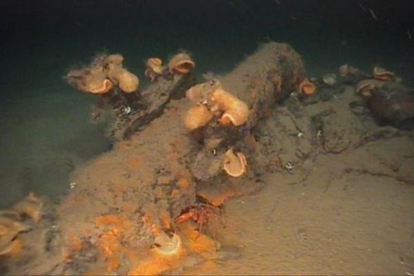 [070523100014-large4.jpg]