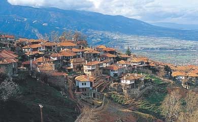 [pieria4_390_09024.jpg]