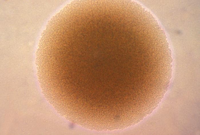 [110213174143-large4.jpg]