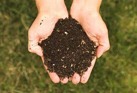 compost2