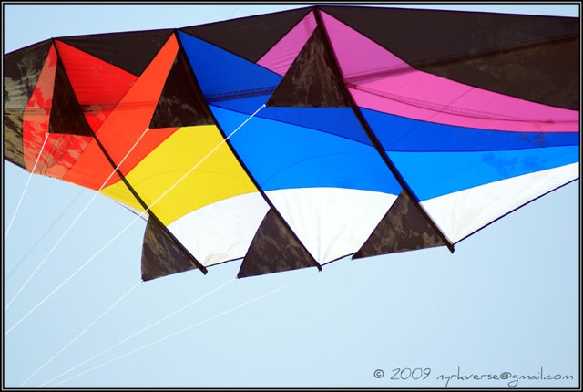 [kites08[5].jpg]