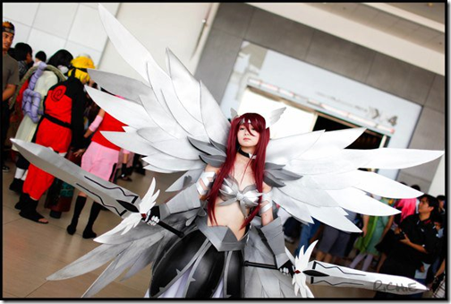 fairy tail cosplay - erza scarlet