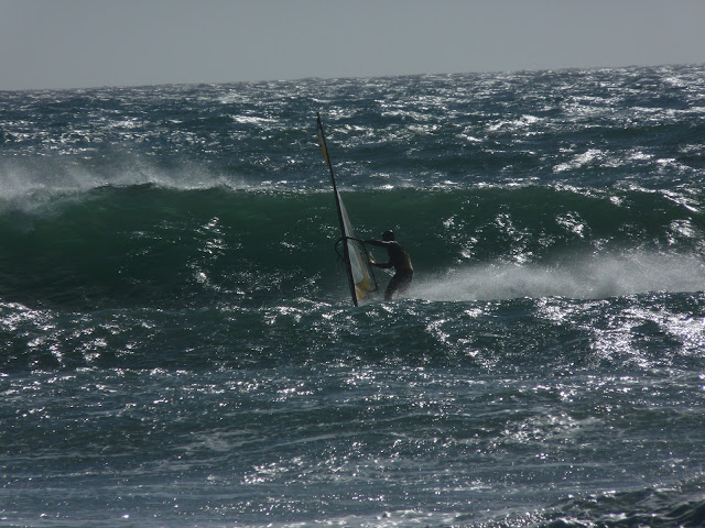 P1000431.JPG
