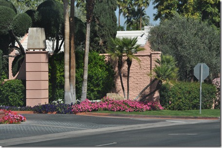 Living Desert, Ca 122