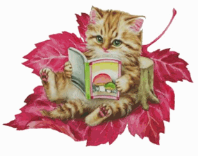 Katt med bok