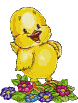 [Kyckling med blommor[2].gif]