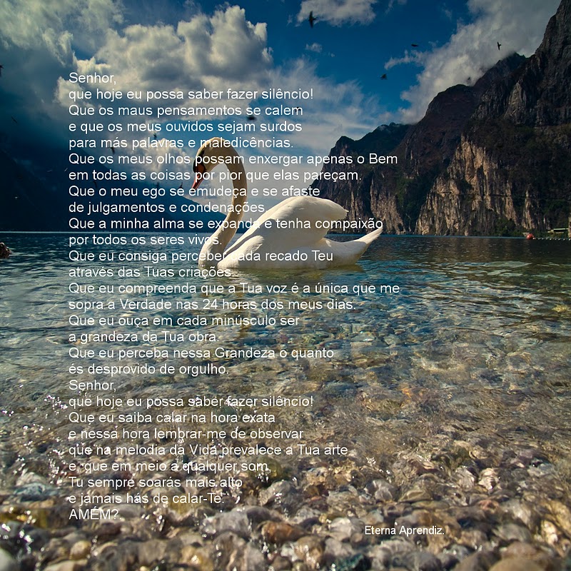 cisne-s.jpg