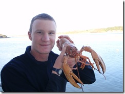Hatchery technician Charlie Ellis with 'Thermidor' the lobster