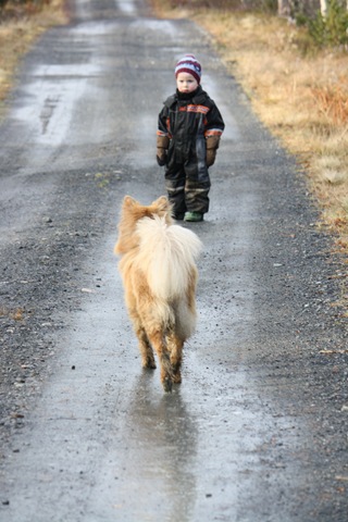 [Lapphundtreff rskogfjellet 31.10.09 023[3].jpg]