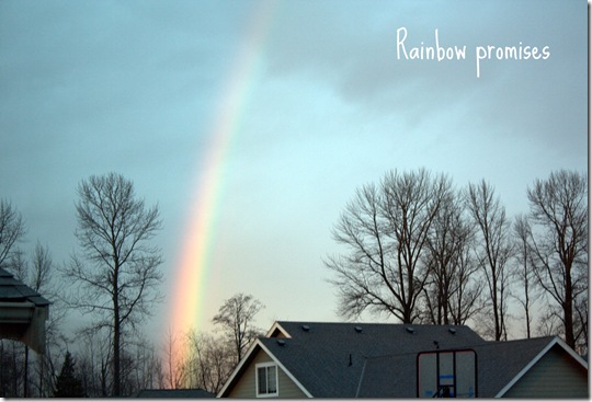 rainbow promises