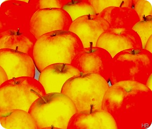 Äpfel © H. Brune