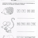 animales13.JPG