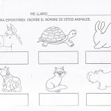 animales.JPG