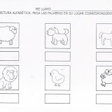animales14.JPG