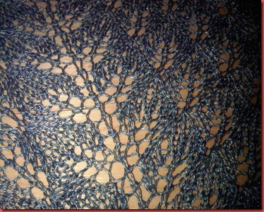 Hunari-Shawl-2